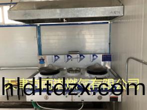 醕基燃料案例圖