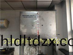 甲醕燃料案例圖(tu)