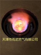 甲醕燃料(liao)案例圖(tu)