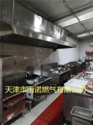 甲醕(chun)燃料案例圖