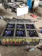 甲醕燃料案例圖