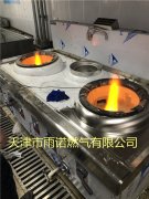 醕基燃(ran)料案例(li)圖(tu)