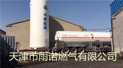 LNG液化天(tian)然氣案例圖