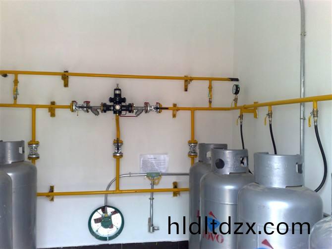 天津醕基燃(ran)料(liao)公司